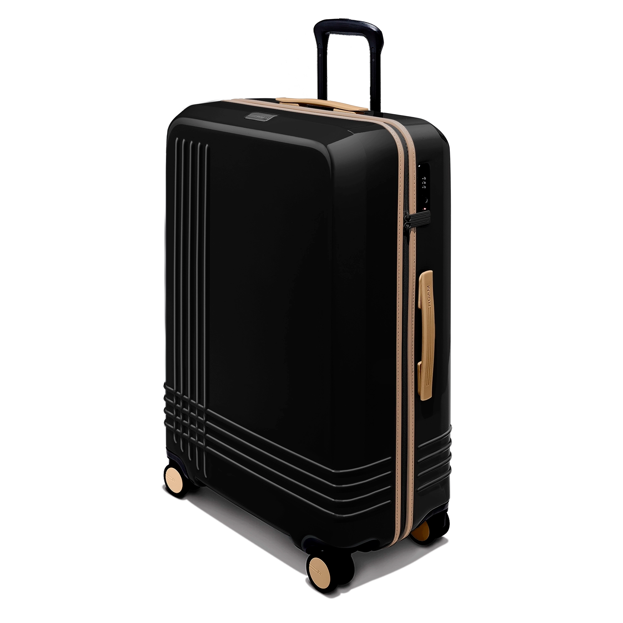 Large Check-In Expandable