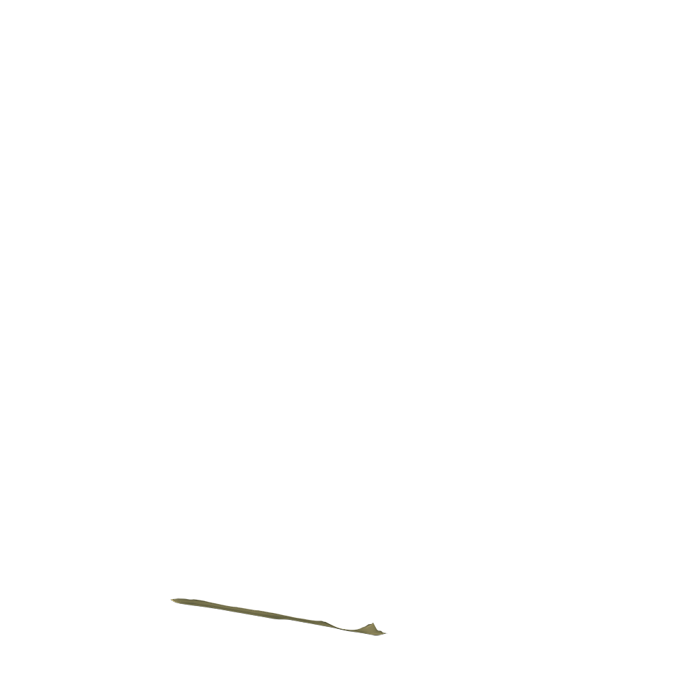 backpack continental back panel in venetian green