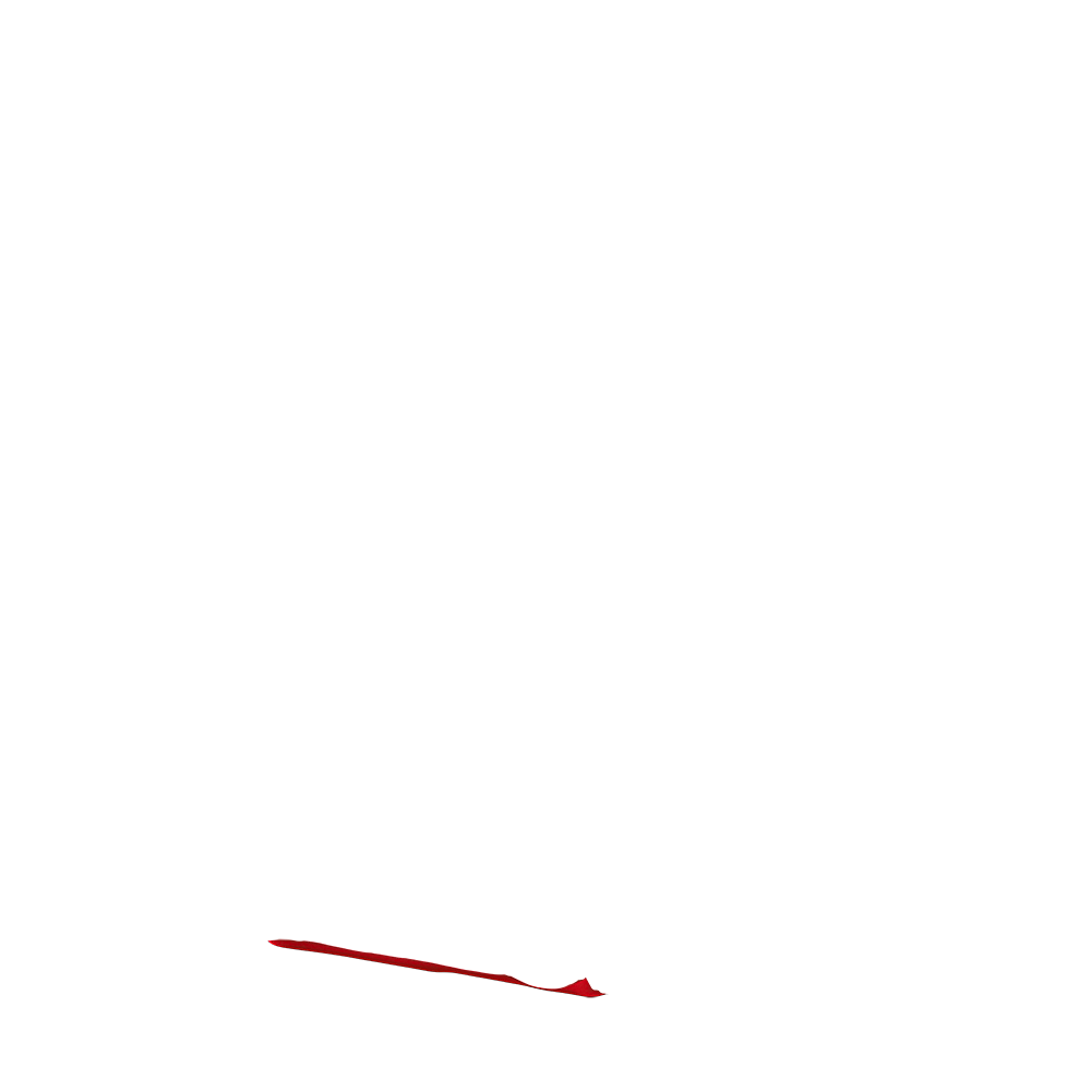 backpack continental back panel in rio fire