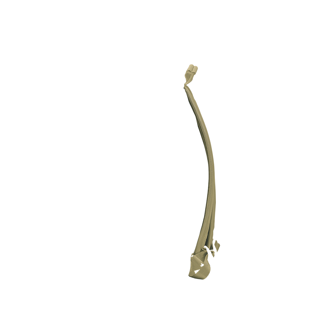 backpack continental straps in venetian green