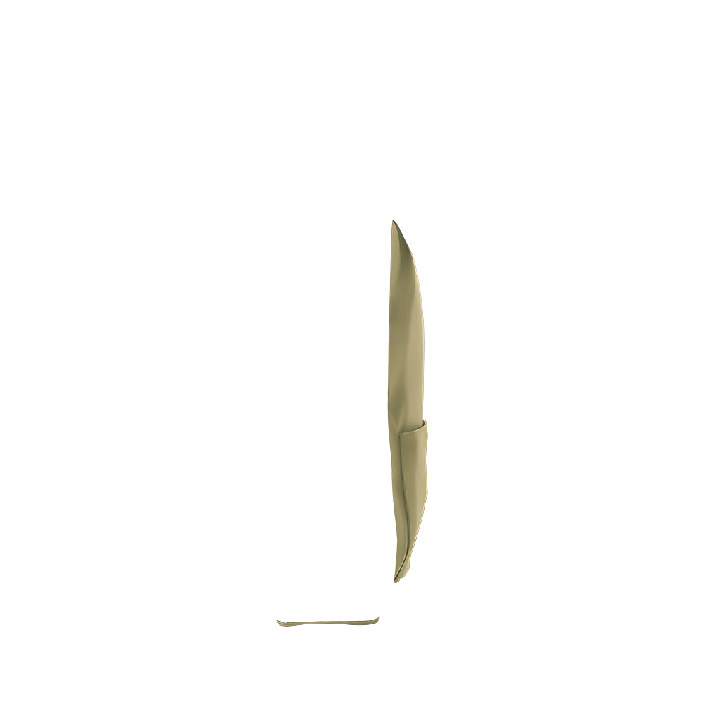 backpack downtown back panel in venetian green