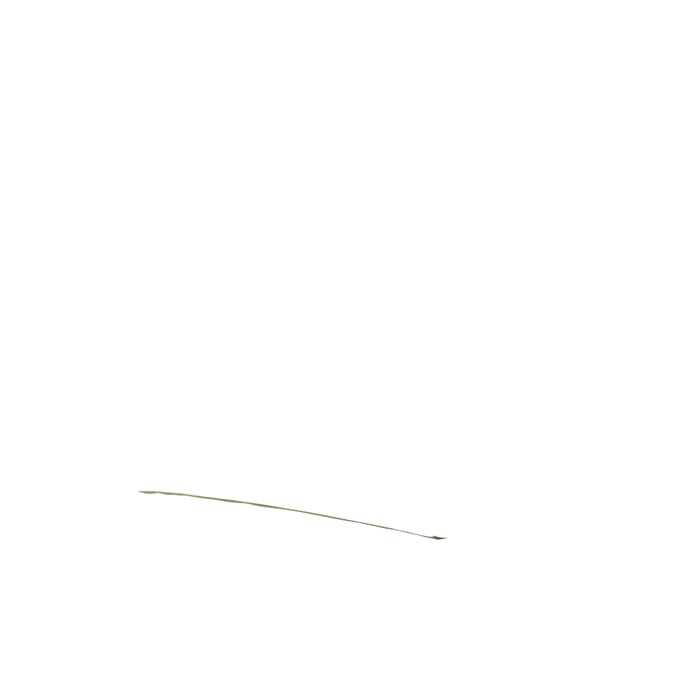 duffel bottom in venetian green