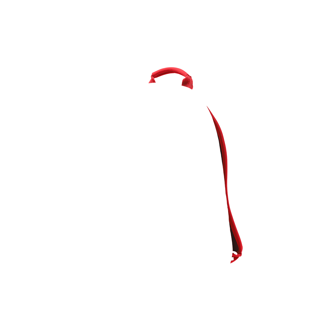 backpack metropolitan straps in rio fire