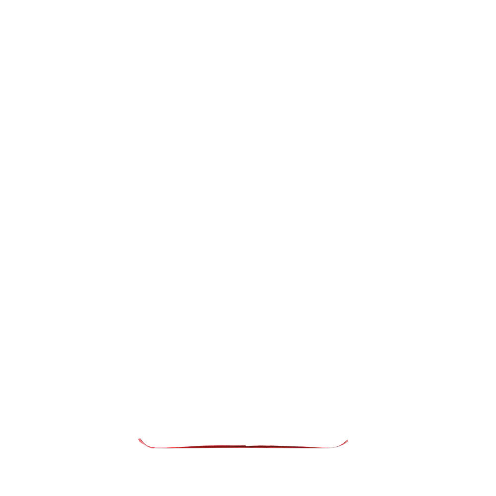 backpack metropolitan back panel in rio fire