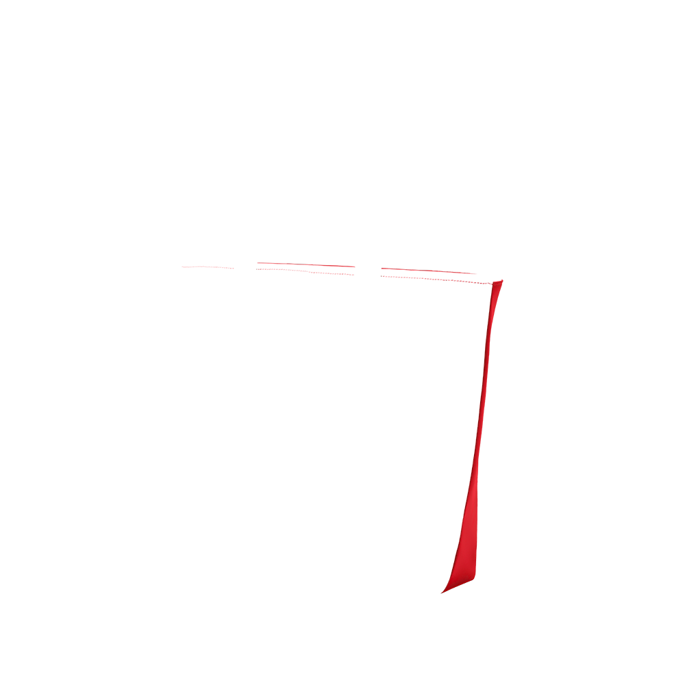 tote shop back in rio fire