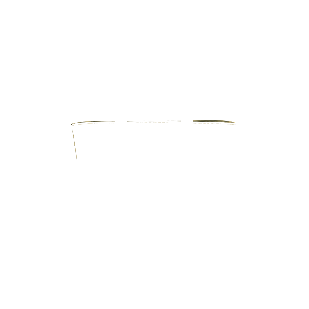 tote shop back in venetian green