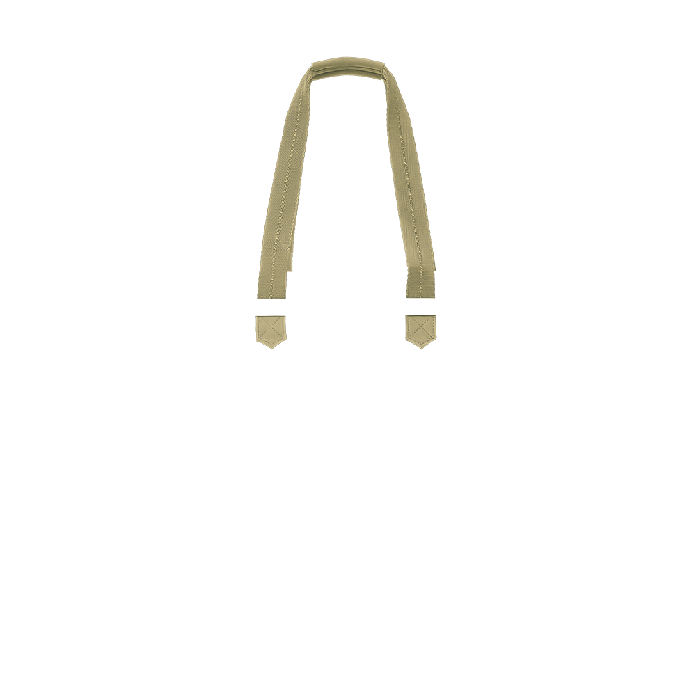 tote shop handle in venetian green